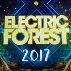 Electric Forest (Weekend 1)
