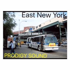 Prodigy Sound (Killa Mike) Early Vibes in East New York