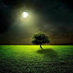 لَقَدْ كَفَرَ الَّذِينَ قَالُوا إِنَّ اللَّهَ هُوَ الْمَسِيحُ ابْنُ مَرْيَمَ