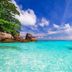 تأمل الوفرة