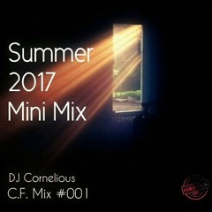 Summer 2K17 Mini Mix