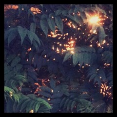 Garden Island (Beat 224)