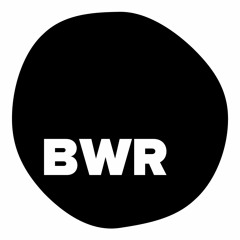 Welcome to BWR