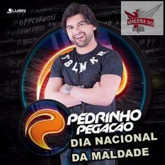 Pedrinho Pegação - Dia Nacional Da Maldade