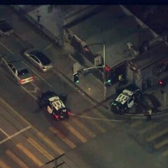 Project X (kingflatbrain feat freddy cau$e)