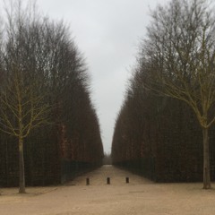 Arquitectura_Kinetica_Medea_13 - 06