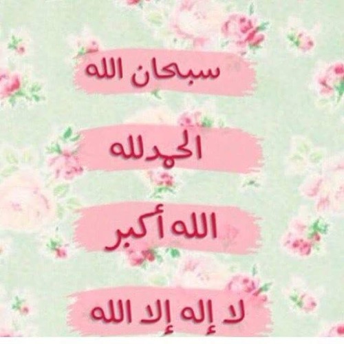 الشيخ ناصر القطامي يبكي بكاء مريرا في هذه التلاوه الباكيه - رمضان 1438هـ