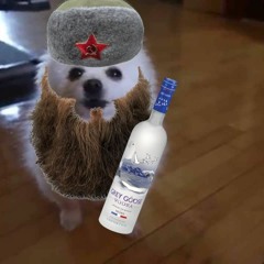 soviet russia