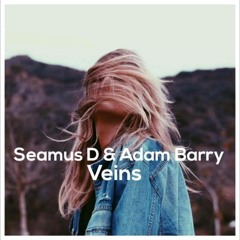Adam Barry & Seamus D - Veins