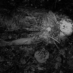 FASCINATED BY PUSSY  -  Devoured By Parasites 2017 - REGORGE[1]