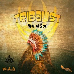 W.A.D - Tribalist (Waldmeister Remix) Out Now! (Preview)