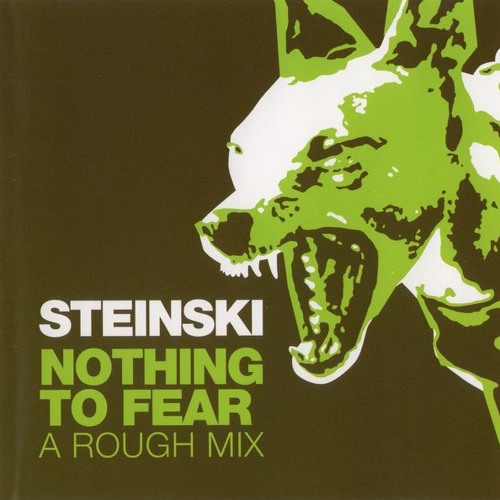 Steinski - Nothing To Fear