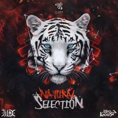 Who Knows? & Jilax - Natural Selection (Original Mix)FREE DOWNLOAD by Alien Records