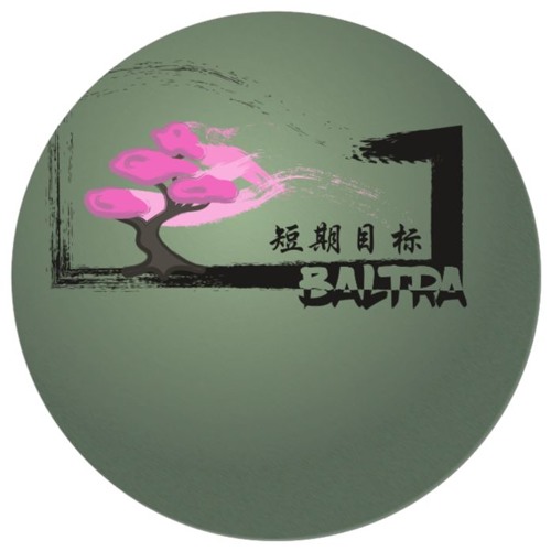 Baltra - Twist Of Fate (A2)