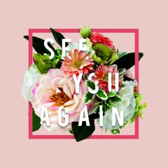 See You Again (Feat Miette Hope)