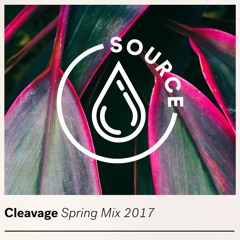 Cleavage Spring Mix 2017
