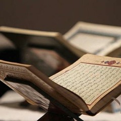 والله يريد أن يتوب عليكم .. مؤيد المزين