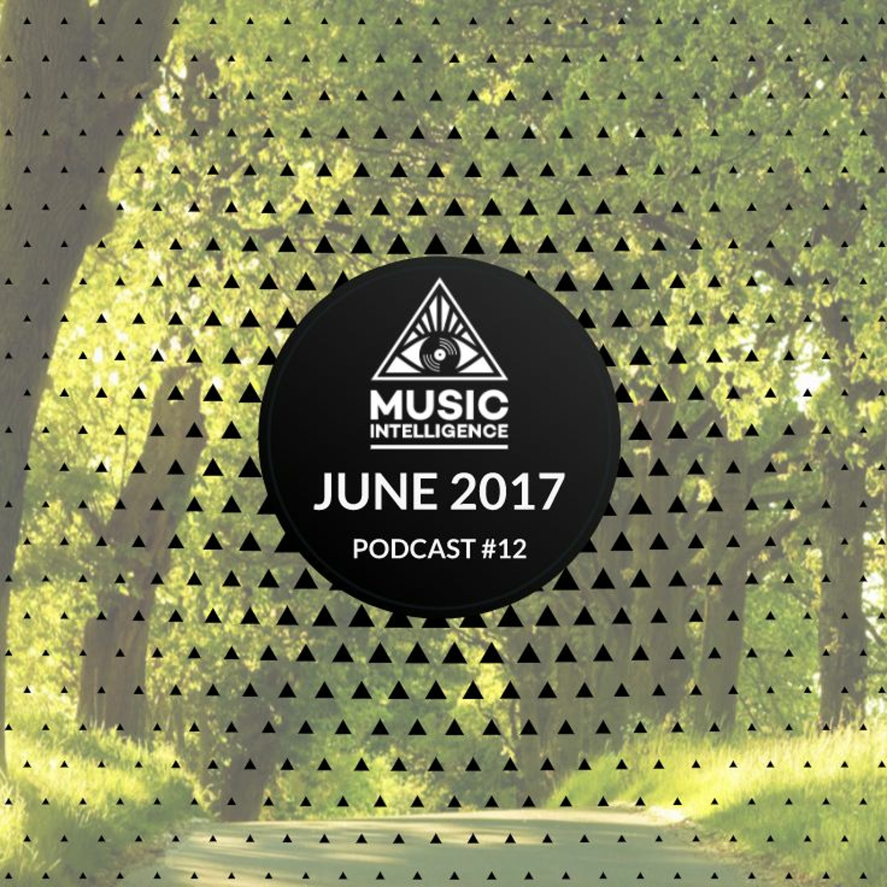 Music Intelligence Podcast
