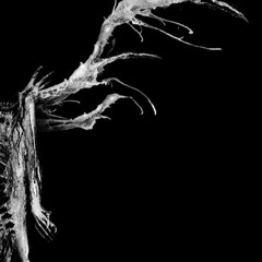 Niverlare - Schism (Official EP Teaser 2)