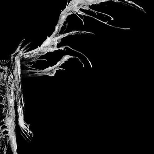 Niverlare - Schism (Official EP Teaser 2)