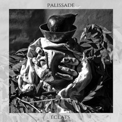 Palissade - Plus Rien