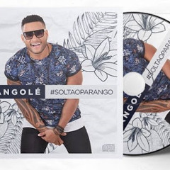 PARANGOLÉ - RABETÃO (VERSÃO PAGODÃO)