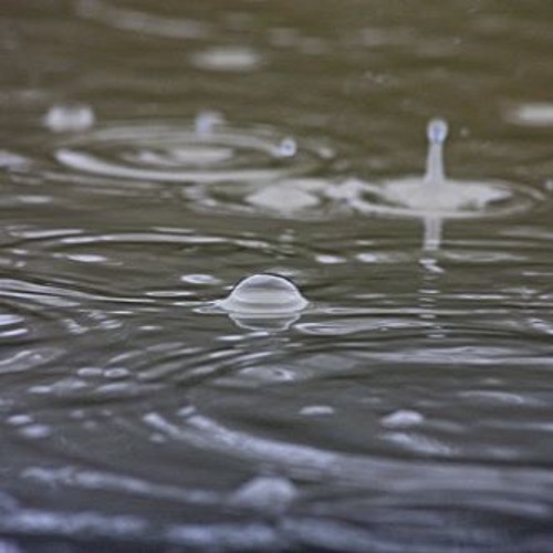 Let the Rains Fall