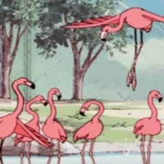 Flamingosis