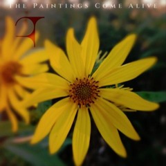 Blank Canvas: An unfolding of potentiality