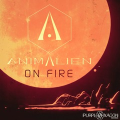 Animalien & Farbo - Into The Future (Preview)