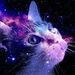 Mr Kitty - Destroy Me (Alex & Elle Cover) vs Darkhaus - Breaking The Silence (Eisbrecher Club Mix)