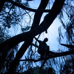 TUSSLE'S GREATEST HITS+++