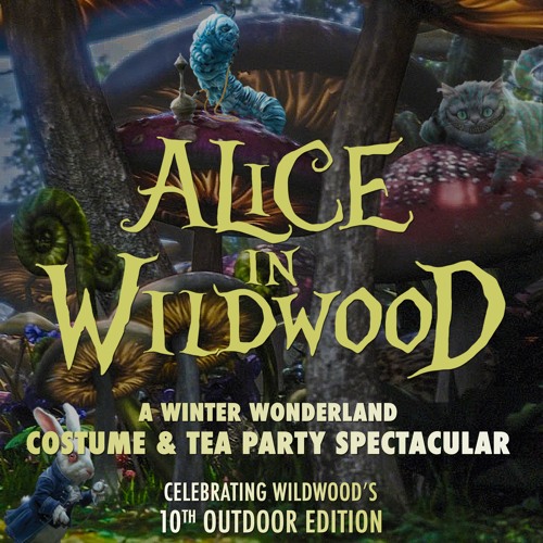 Alice In Wildwood (June 9-11 2017)