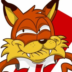 What Could Possibly Go Wrong + WoolyBalls  (Bubsy "Nyeh heh heh" & "Bonetrousle")