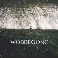 Wobbegong (Doctopus Cover)