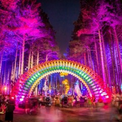 Electric Forest Countdown Series