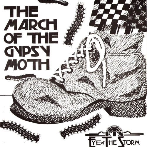 March Of The Gypsy Moth Hi Res