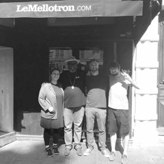 Sadar Bahar • Vinyl set • LeMellotron.com