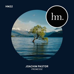 Joachim Pastor - Promesse (edit)
