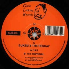 Bukem and the Peshay '19.5' (Selectabwoy 135 Reconstruction - Eclectic Mix IV)