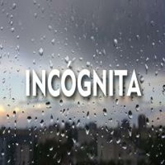 Incógnita - Thelfos