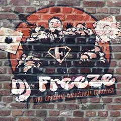 Dj Freeze - On a ragga tip Vol.15