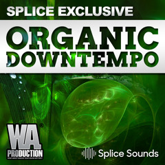 Organic Downtempo | 200 Melodies, Drum Loops & Foley Samples