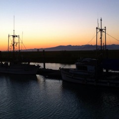 Two Carpathian Folksongs