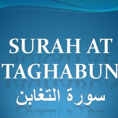 Quran Chapter 64 Surah Al Taghabun in Urdu only