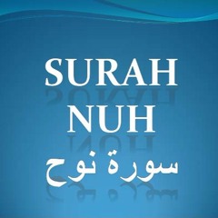 Quran Chapter 71 Surah Noah in Urdu Translation only