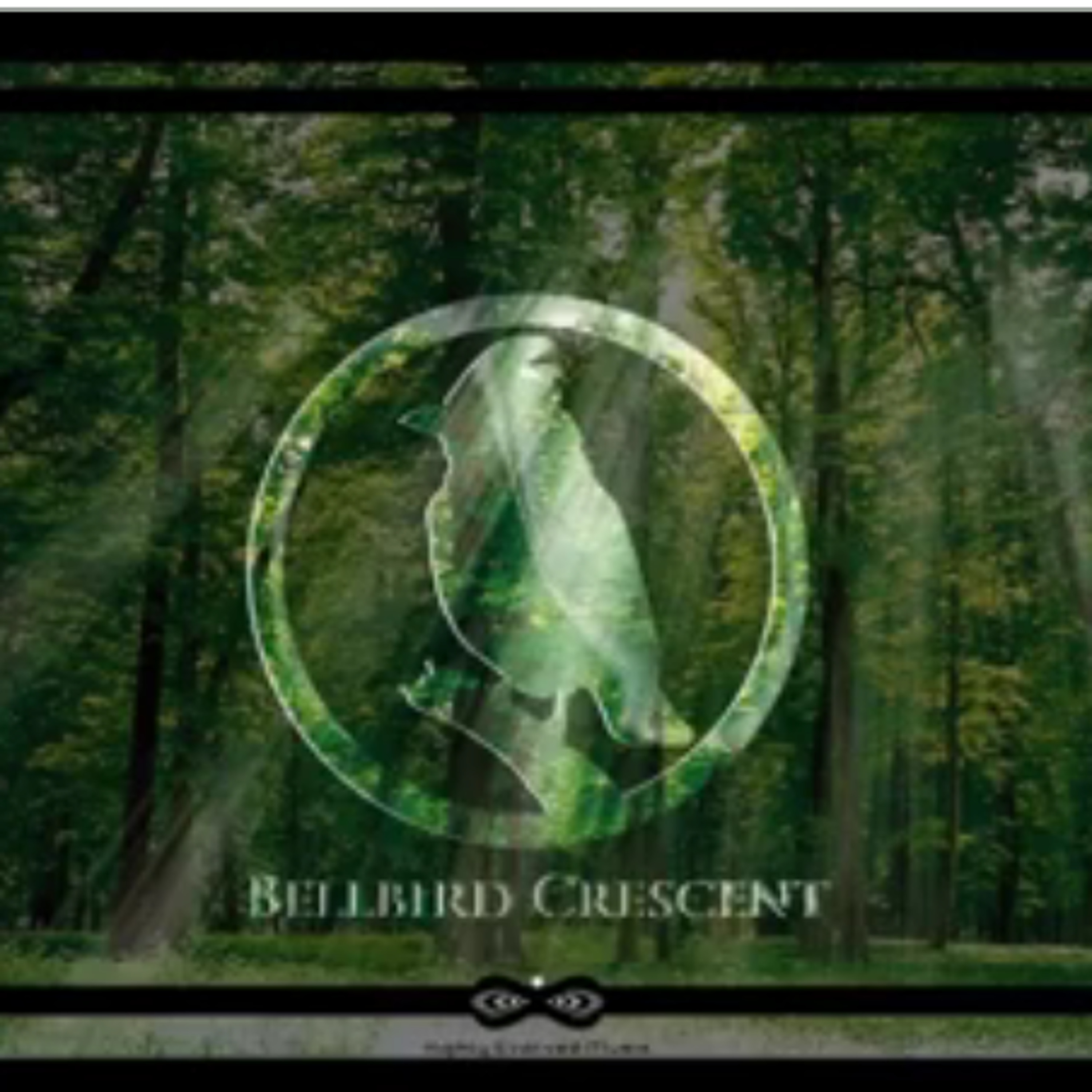 Harry Blotter - Techno Dj Set @ Bellbird Crescent [June 2107} thumbnail