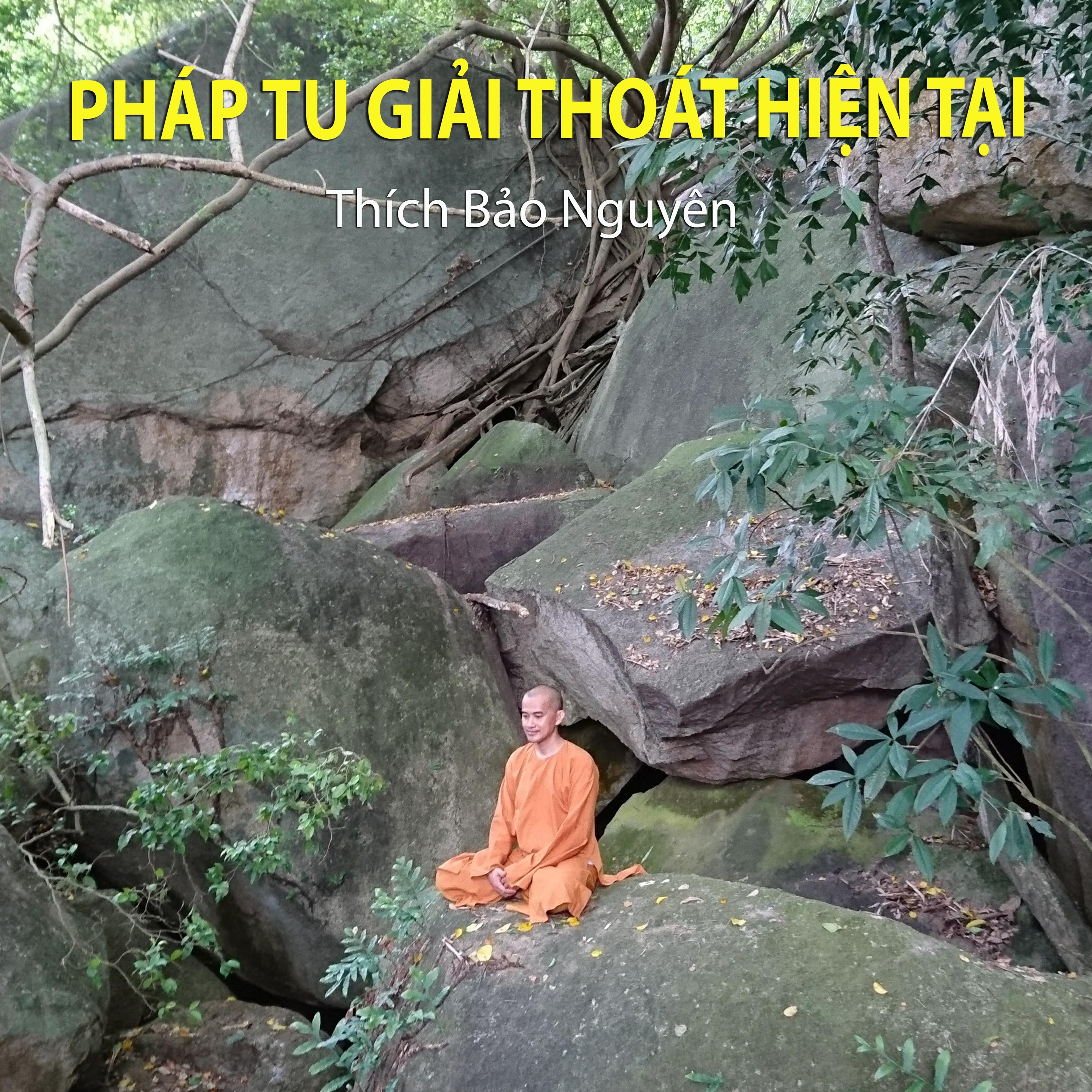 Pháp Tu Giải Thoát Hiện Tại episode artwork