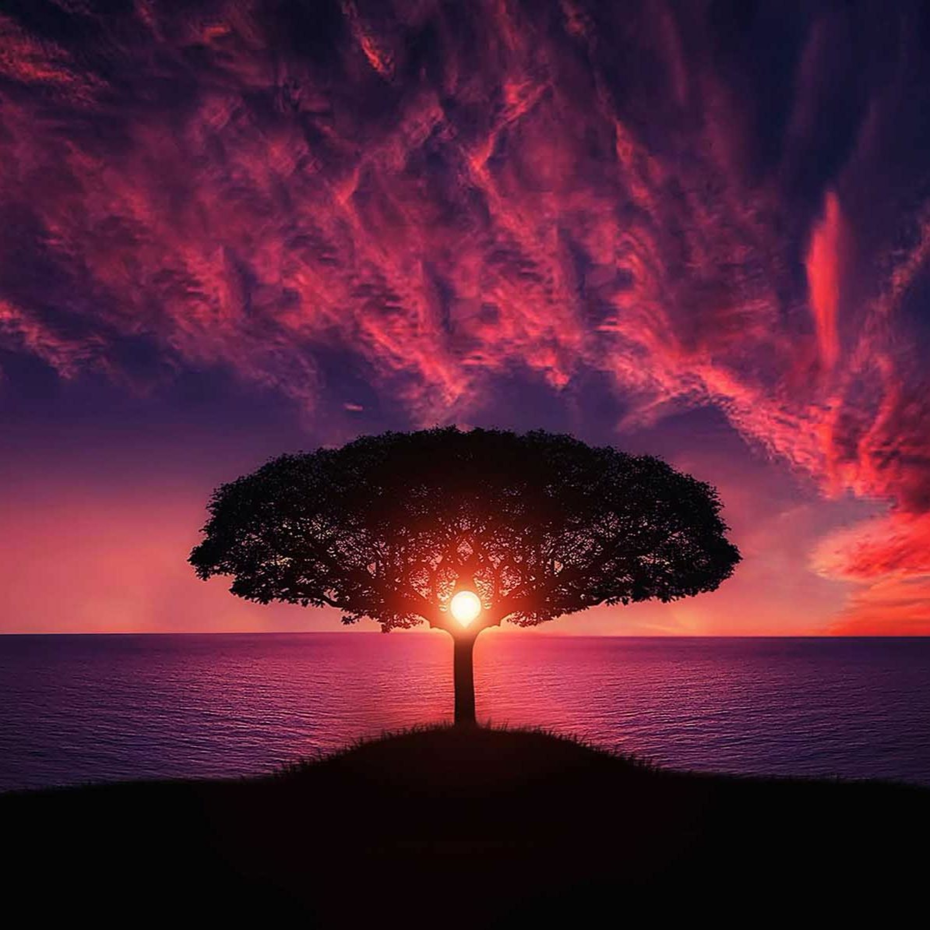 Purple Sunset episode artwork