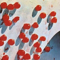 Paul McCartney - 1882 (remix)